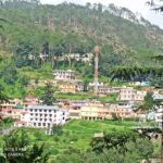 ग्वालदम में जंगली जानवर का मांस बताकर कुत्ते का मांस बेचने की अफवाह से चर्चाओं का बाजार गर्म